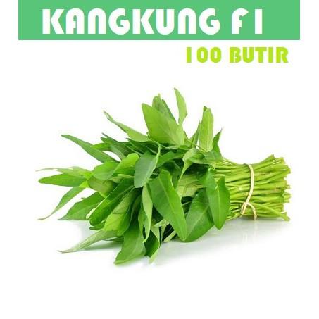 Bibit Benih Biji Sayur Kangkung Sayur benih unggul F1 65 seeds