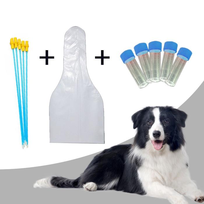 Alat Inseminasi Buatan Kit Hewan Anjing Kucing Sapi Dll Selang Kawin Suntik