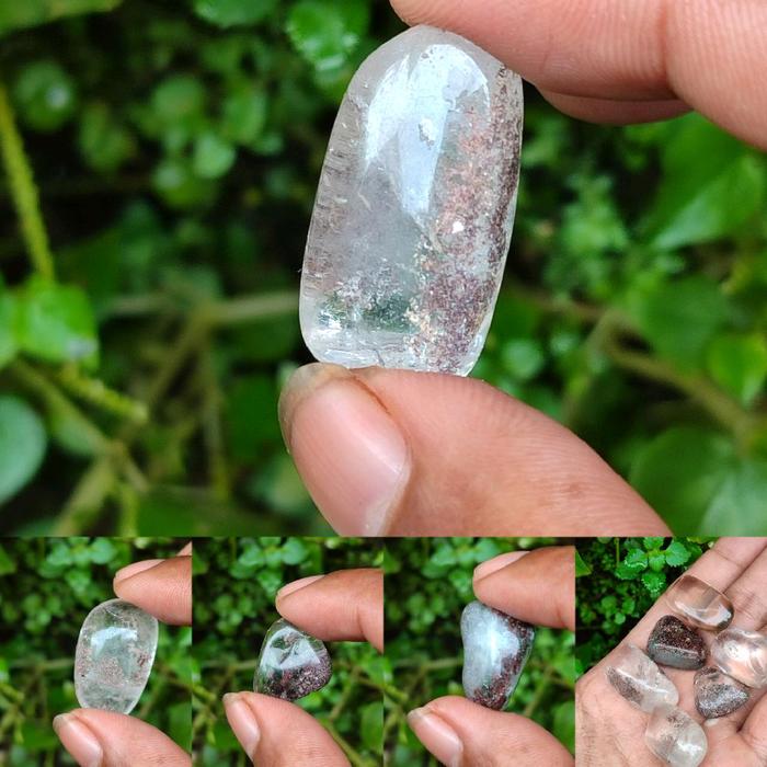 Kecubung karang / Kinyang karang