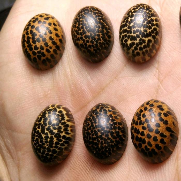 Akik kayu liwung coklat tutul