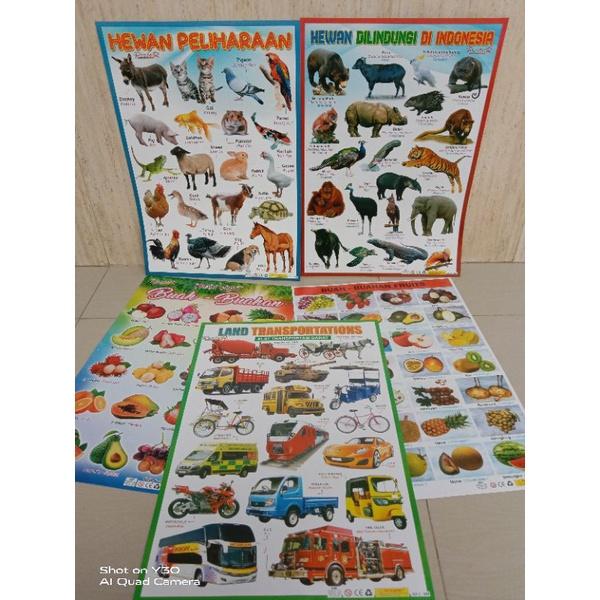 Poster Edukasi Anak Paling Murah/ Seri Buah Hewan Kendaraan