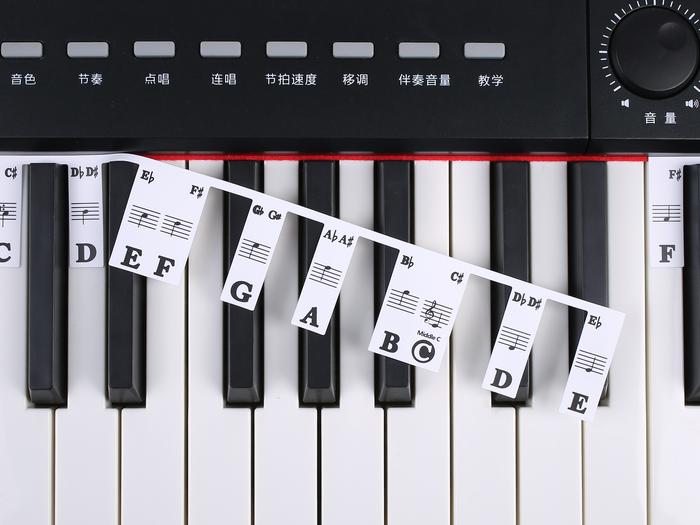 Piano Keyboard Note Labels 88 Keys Electronic Organ Digital Piano