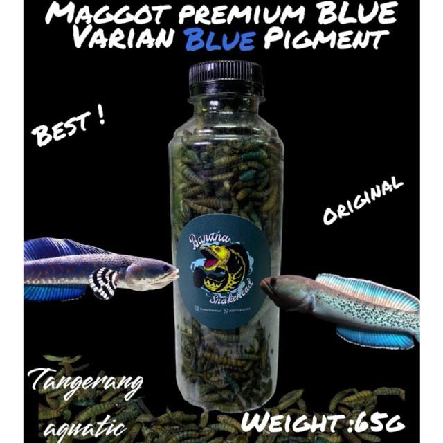 Maggot Kering BSF Super Premium Blue Grade A+ Pakan Ikan Channa Oscar Pebas Ikan Hias Air Tawar Lain