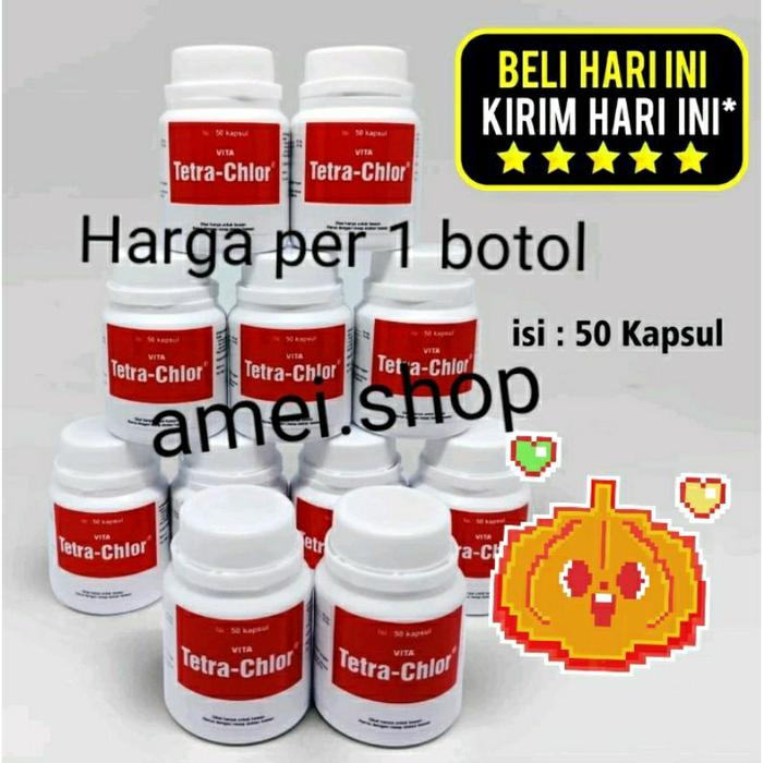 Djaloe arak Gosok ayam petarung