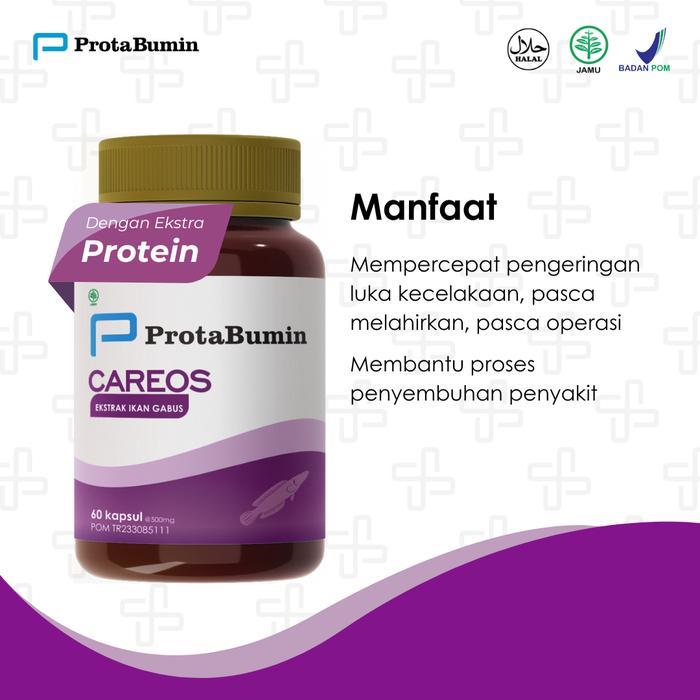 PROMO GUYS [Bisa COD] Protabumin Careos Isi 60 Kapsul | Ekstrak Albumin Ikan Gabus | Sudah BPOM & Ha