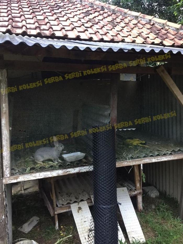 Ka t Jaring Plastik HDPE bentuk diamond per roll - Hitam
