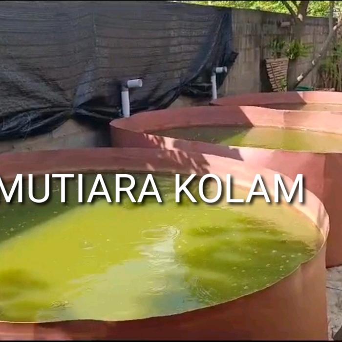 Kolam Bioflok PVC Portable Serbaguna | Kolam Ikan Lipat Tanpa Rangka D200 cm x T80 cm – Mutiara Kola