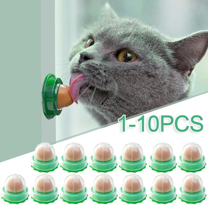10-1PCS Nutrition Cat Catnip Ball Dust Cover Round Safe Catnip Snack
