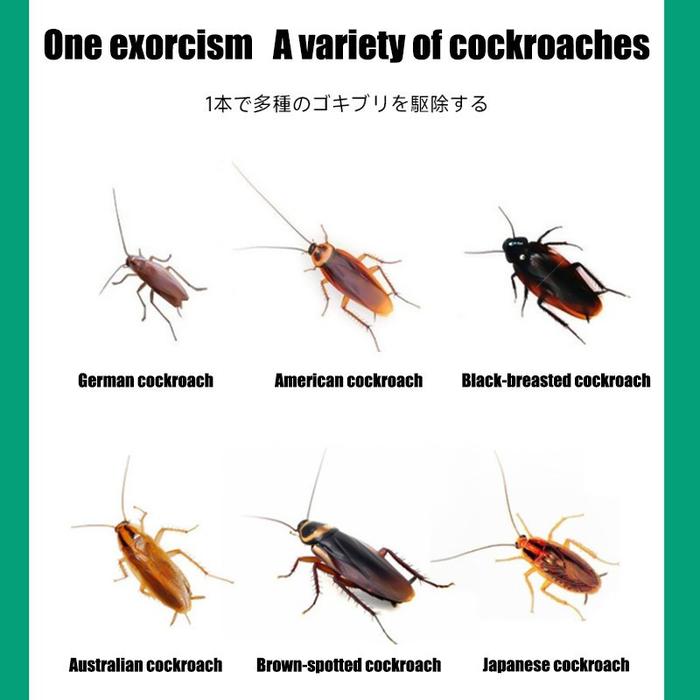 Japan Kecoa Dirumah Suntik Gel Racun Kecoa Ampuh -Gel Racun Pembasmi Kecoa Roach Bait Insecticide Co