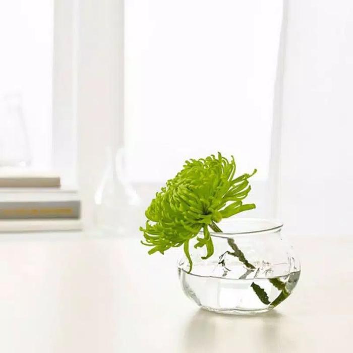 Vas Bunga Kaca Pendek Mini Bening Estetik VILJESTARK IKEA 8 cm - Vas Kaca Kecil - Vas Dekorasi Meja