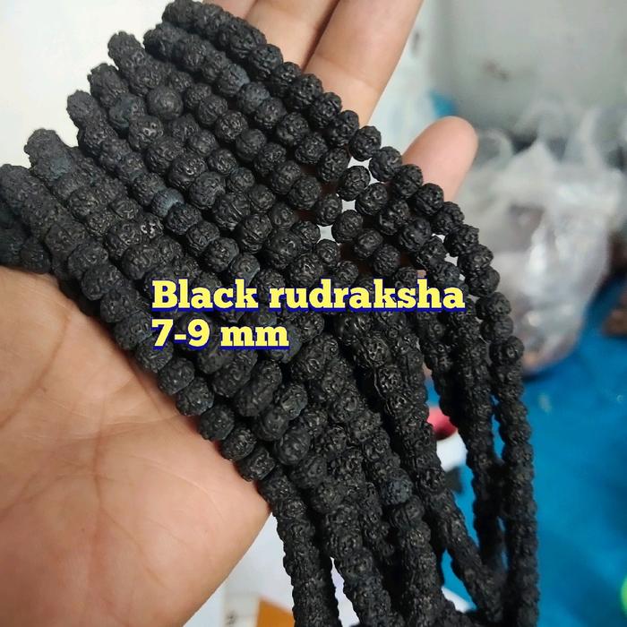 KALUNG JENITRI RUDRAKSHA HITAM