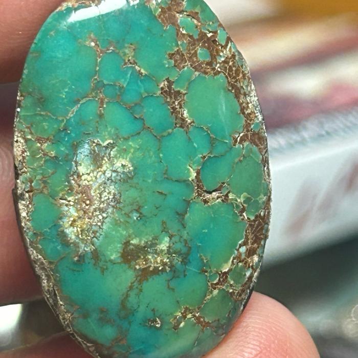 Pirus Persi