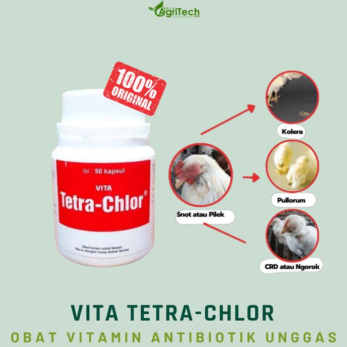 TEDUN OBAT AYAM ADUAN / AYAM ADU / EKA FARMA