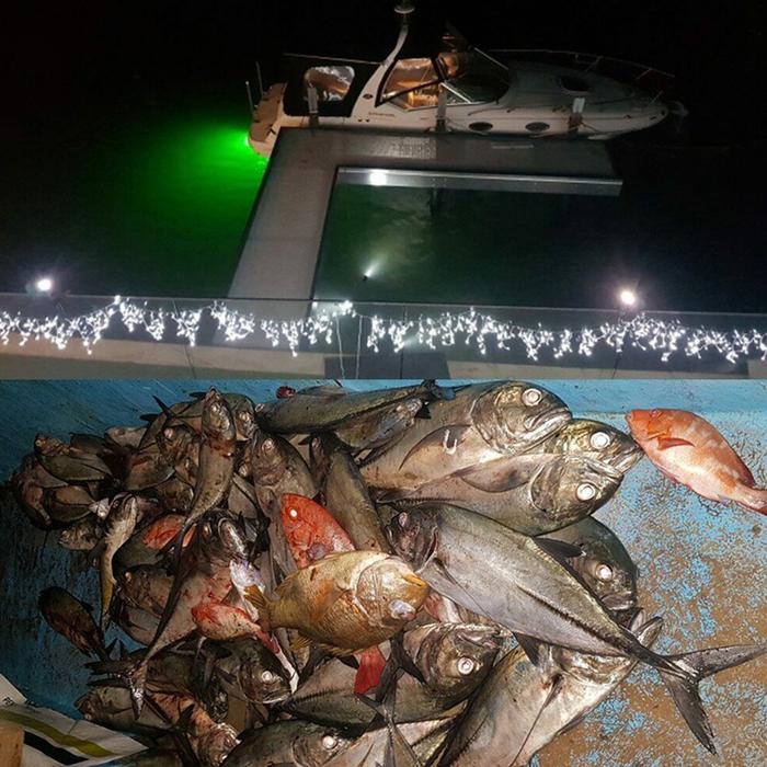 Lampu bawah air Persediaan Menarik Ikan Lampu LED Dalam Air Umpan Ikan Umpan Cahaya untuk Memancing