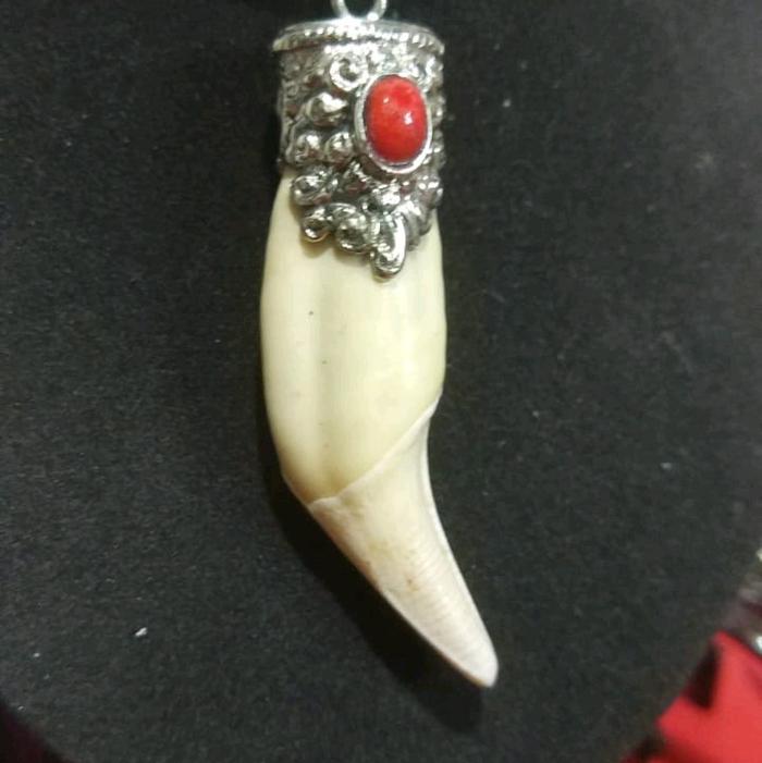 acc kalung tarber original berwibawa,ageman