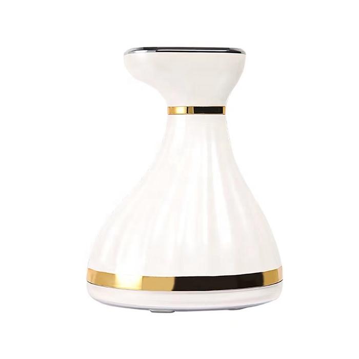 Multifunction Ultrasonic Face Fat Instrument RF Beauty Instrument