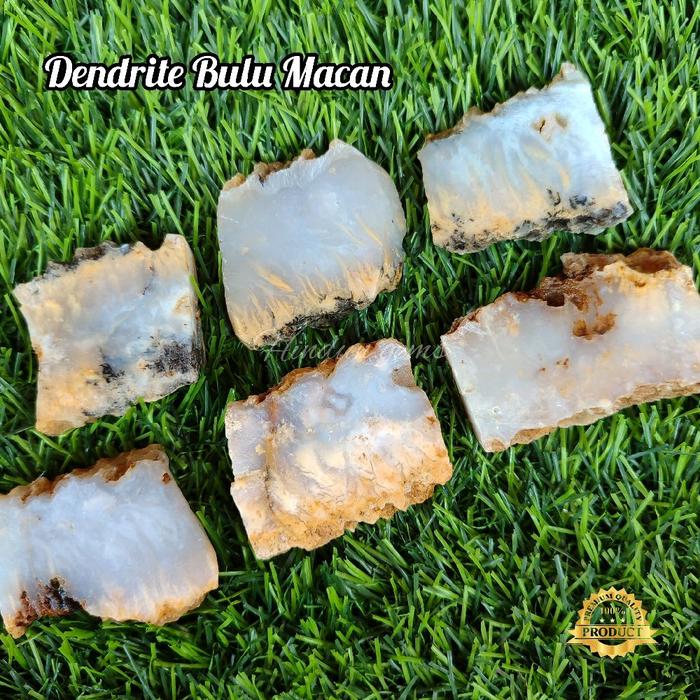 Bahan Batu Dendrite Bulu Macan / Bongkahan Dendrite Bulu Macan / Lempengan Dendrite Bulu Macan