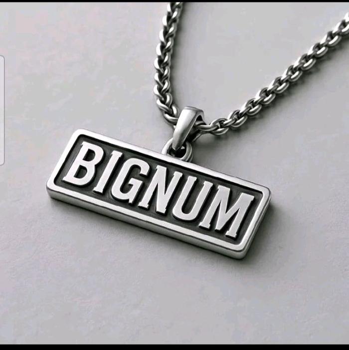 BIGNUM Kalung Perhiasan dengan Desain Unik dan Menarik untuk Pria dan Wanita