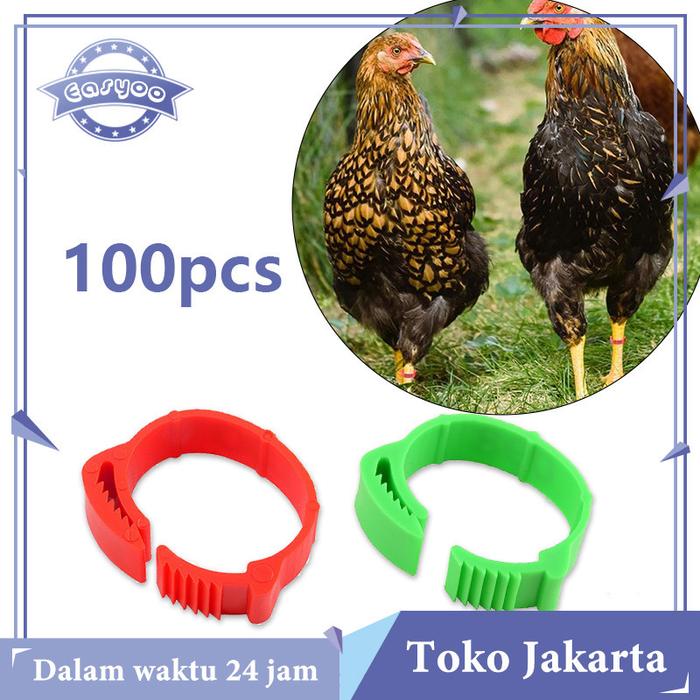 Isi 100 Gelang Ayam Unggas Gelang Kaki Anak Ayam Ring Gelang Kaki Ayam Gelang Ayam Segel Kaki Ayam