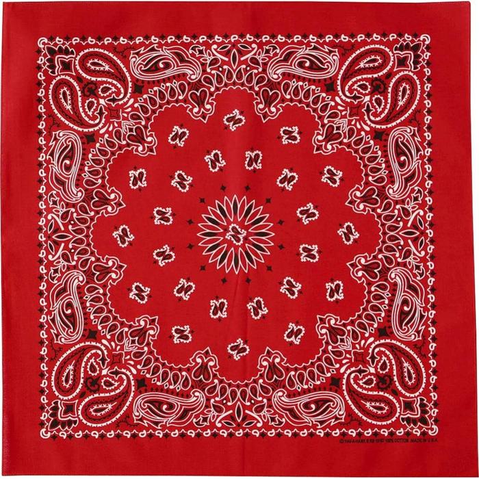 Bandana Paisley Vintage HAV-A-HANK (55 x 55 cm) Made in USA
