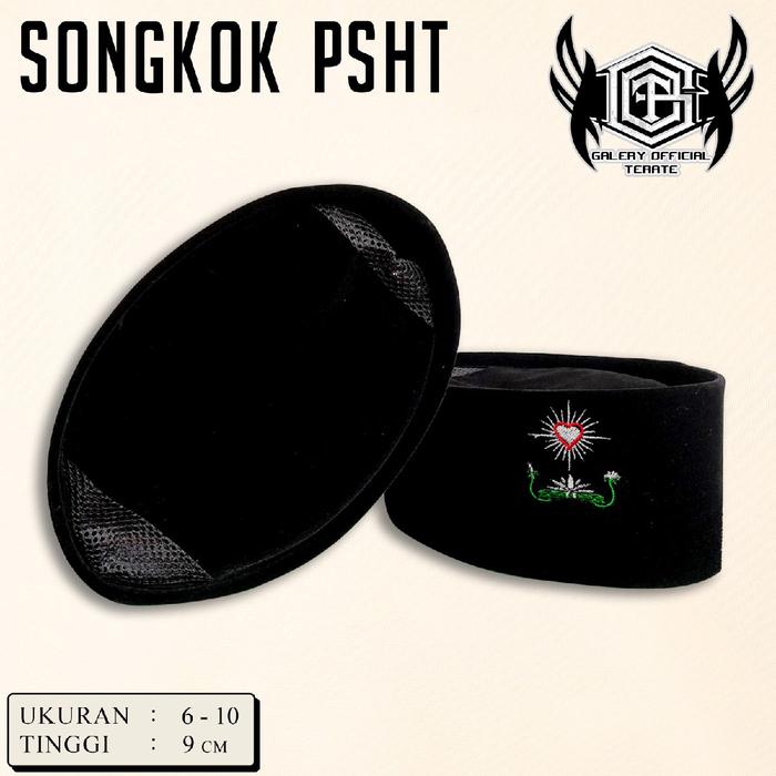 SONGKOK PSHT PECI PSHT SONGKOK SH TERATE