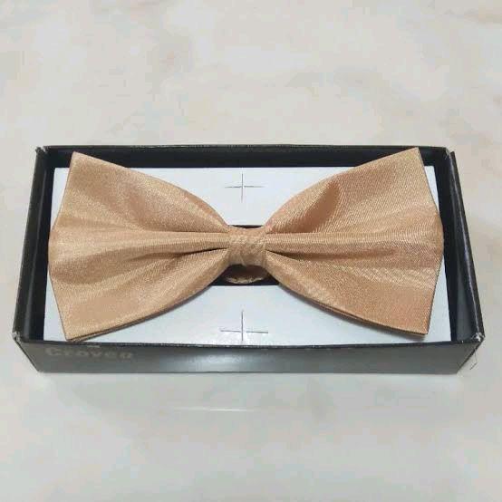 DASI KUPU SATIN CREAM IVORY