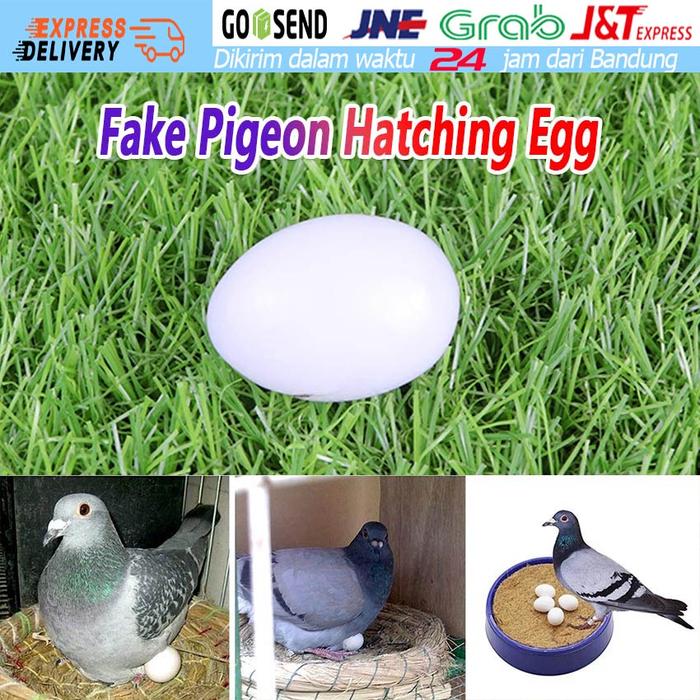 5pcs/10pcs Telur Telor Palsu Merpati Bahan Plastik Warna Putih Mainan Dove Artificial Fake Egg