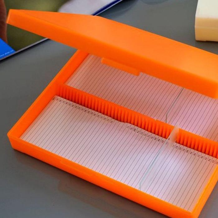 Isi 50 Microscope Slide Box Microscope Slide Preparat Kotak Pvc For Objek Glass Mikroskop/Kaca Prepa