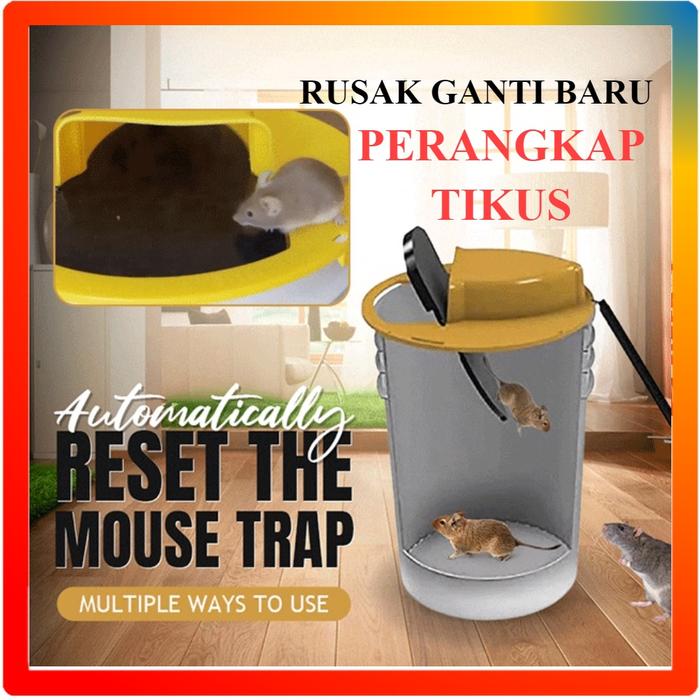 Perangkap Jebakan Tikus Curut Mencit Ember Jungkat Jungkit Besar Mouse Trap Cage Bucket Senteg Massa