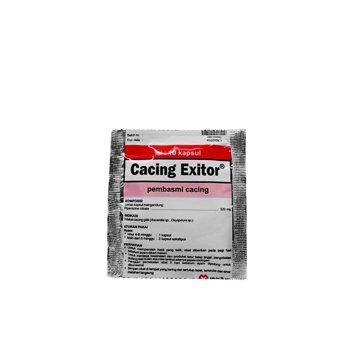 Csv Red Diamond doping Ayam Petarung Bangkok Jamu Ayam bangkok ayam