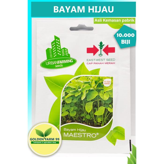 Benih Bibit Bayam Hijau Maestro Isi 10.000 Biji Cap Panah Merah
