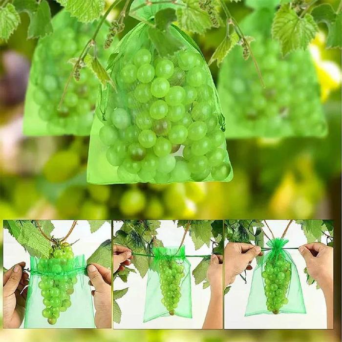 5/10 Pcs Cover Fruit Anggur Fruit Cover Net Anti Serangga Kantong Jaring Buah Pembungkus Buah