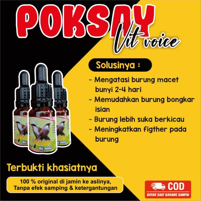 vitamin ciblek vit voice penggacor burung ciblek macet bunyi tangkap