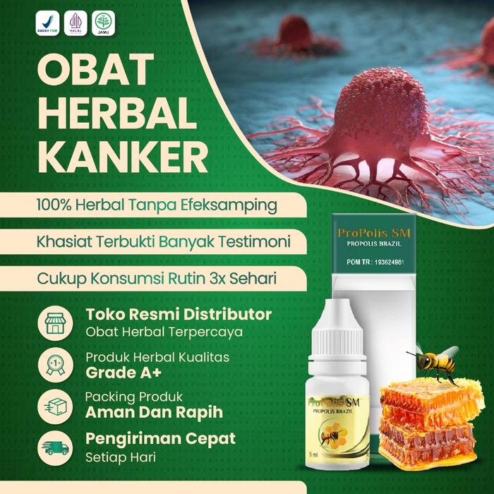 OBAT KANKER SEMUA JENIS KANKER TUMOR JINAK TUMOR GANAS HERBAL ALAMI PROPOLIS SM
