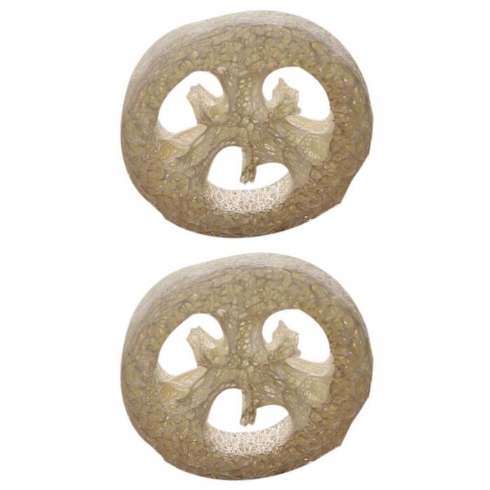 300Pcs Natural Loofah Luffa Loofa Slices Handmade Loofah Soap Box