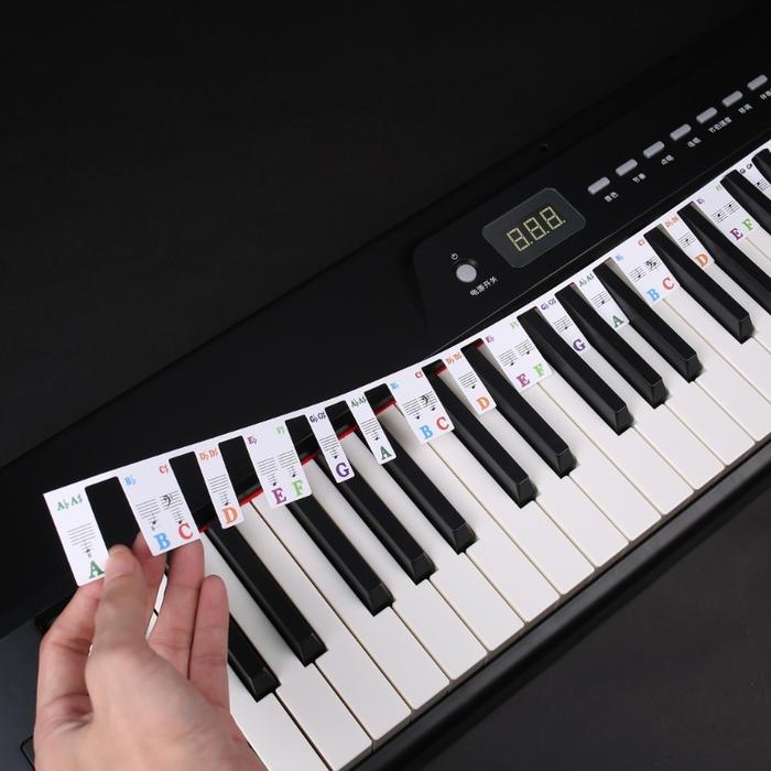 61 Keys 88 Keys Removable Piano for KEY Labels Piano