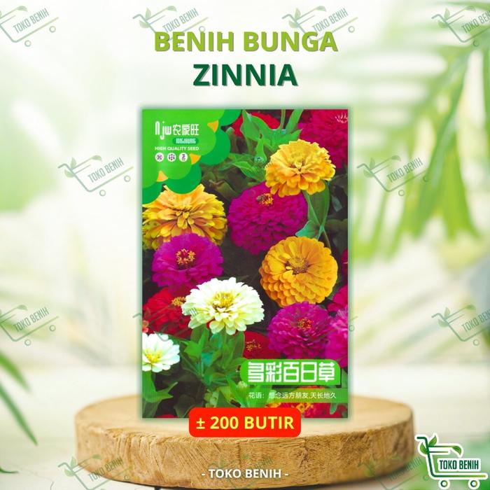 ± 200 BUTIR BENIH IMPORT BUNGA ZINNIA KEMASAN PABRIK