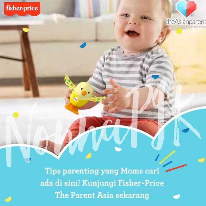 Fisher Price Rattle Toy Food AnimalS