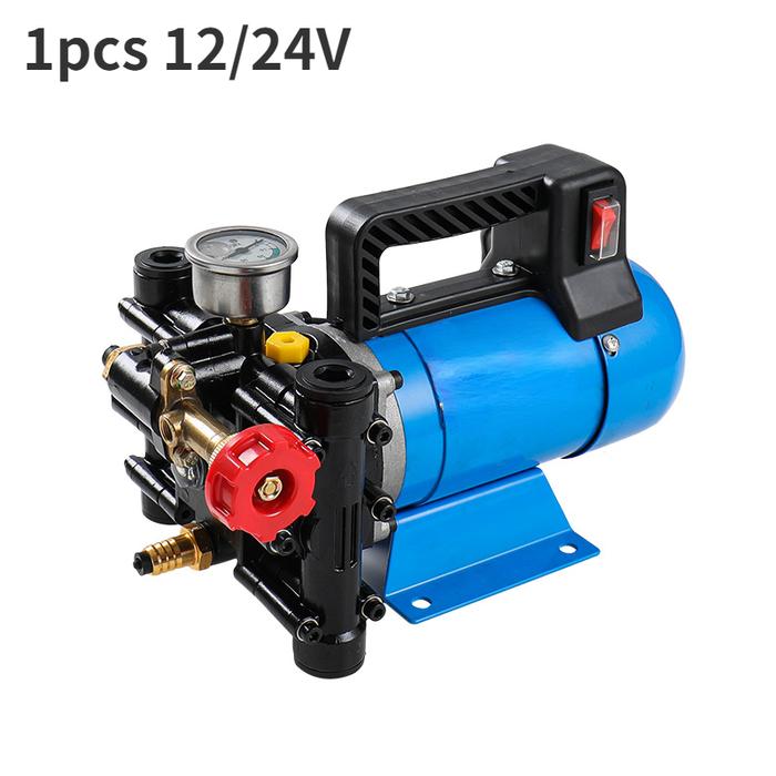 12/24V portable electric plunger pump agriculture power sprayer