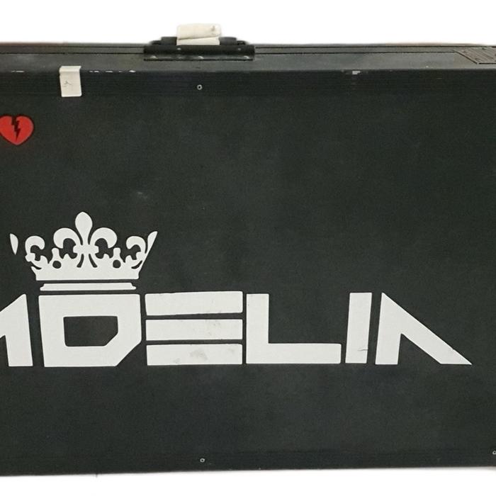 Flightcase XDJ RX1 / RX 2