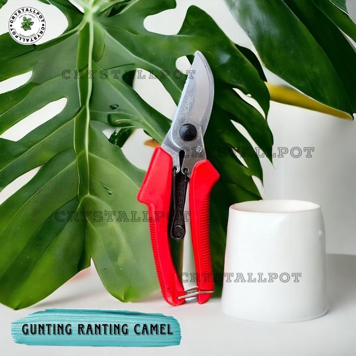 PREMIUM GUNTING DAHAN RANTING KAYU BATANG TANAMAN CAMEL 904 - GUNTING CAMEL BENGKOK