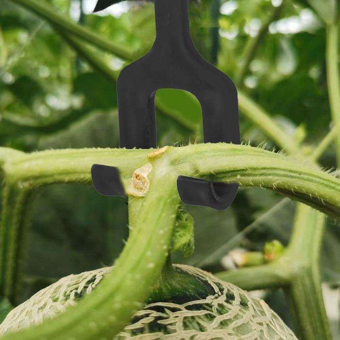 30pcs Melon Stalk Support / Penyangga Buah Melon / Gantungan Buah Melon / Hanger Melon