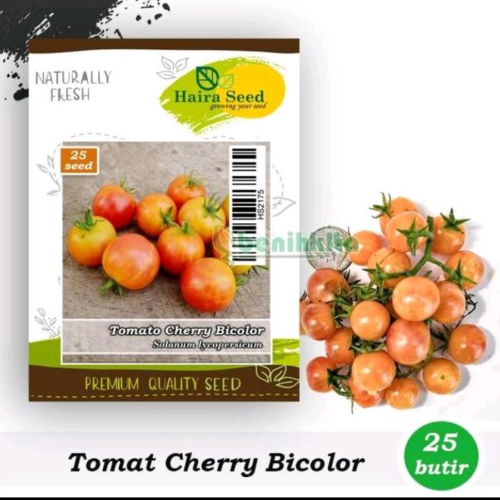 Benih-Bibit Tomat Cherry Bicolor (Haira Seed)