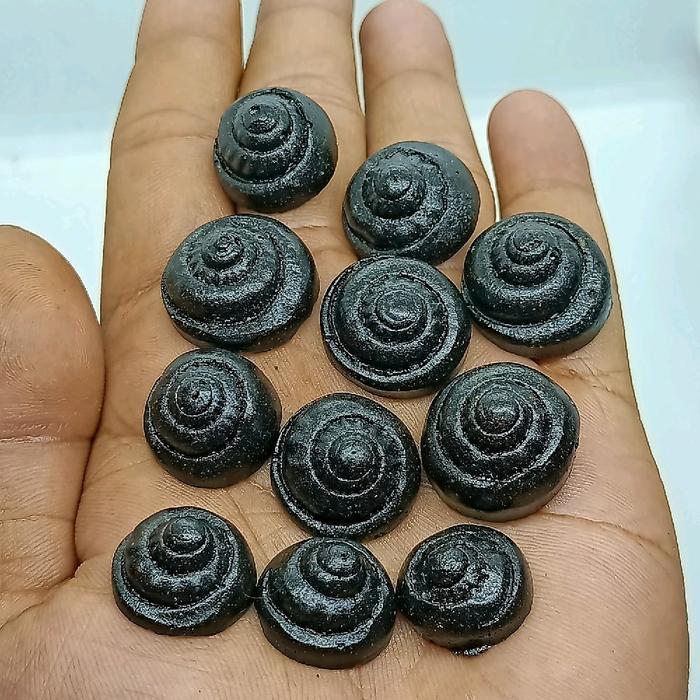 Harga 1 Kodi / 20 Pcs , Badar Besi Keong Buntet , Natural Nempel Magnet