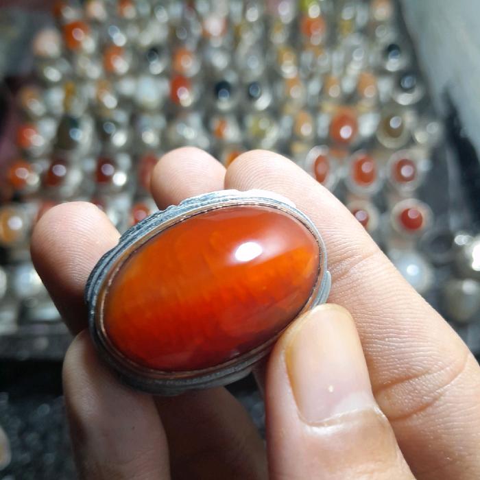 pandan merah sisik betik ring monel