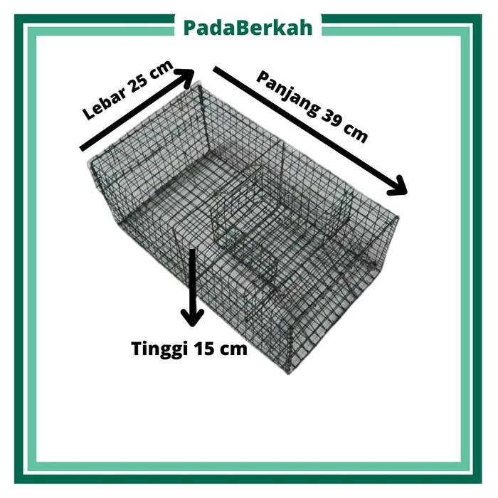 Perangkap Tikus Massal Jebakan Tikus Ukuran Kecil Besar