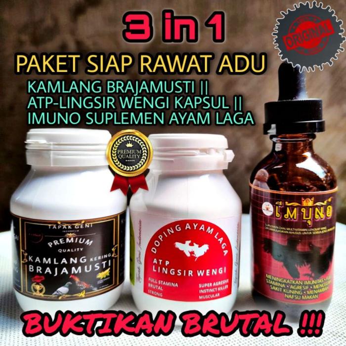 Stamina booster GM ayam aduan