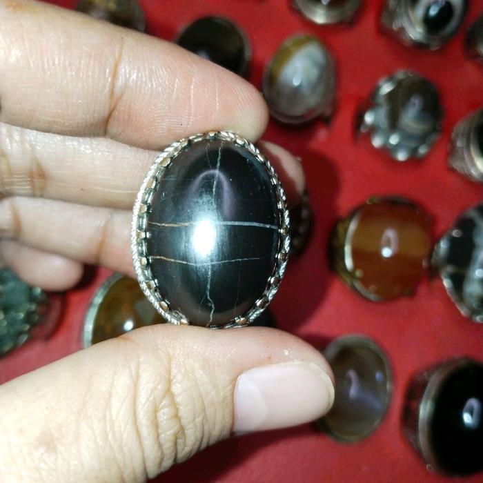 fosil kelor tapak jalak kendit dim kantoran natural alam losdor 5 kali