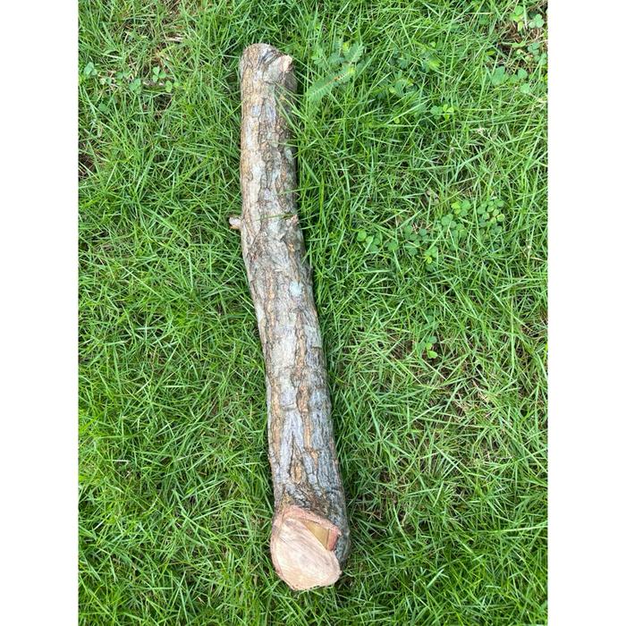 Roti Romi Kayu Dewandaru Dari Karimunjawa Ukuran Besar