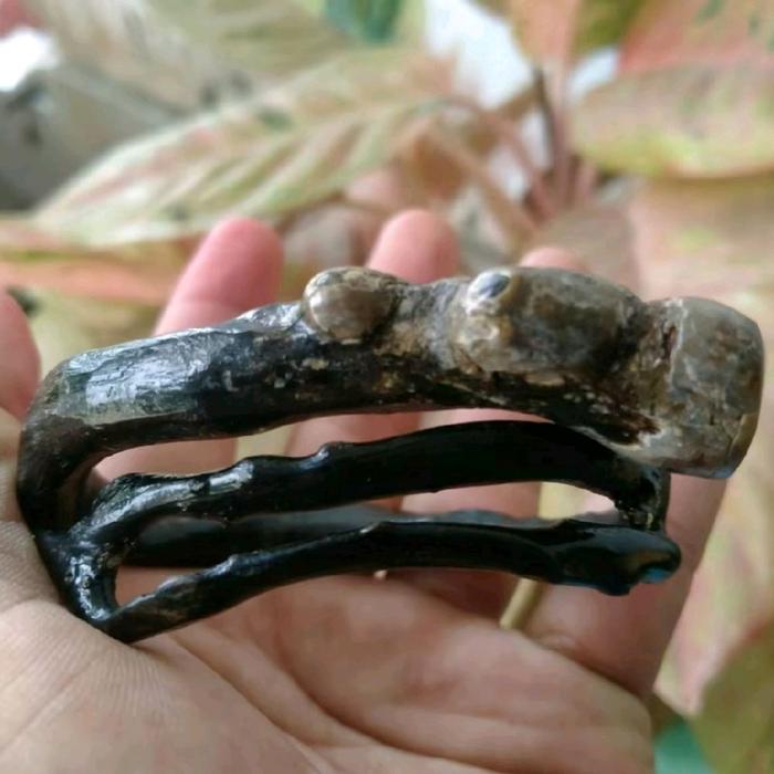 Gelang Akar Bahar Hitam Bonggol Cabang